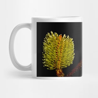 Fresh Banksia Mug